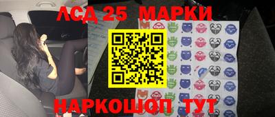 apvp Канаш