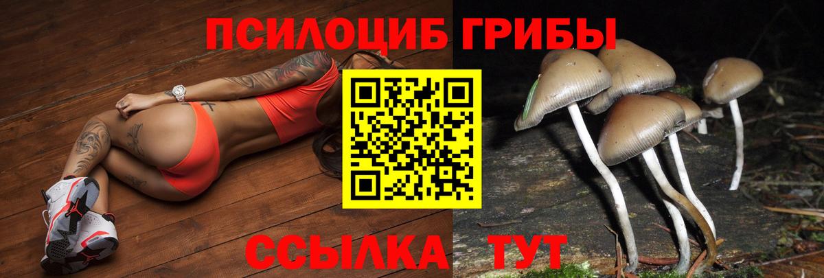 Псилоцибиновые грибы Лесозаводск